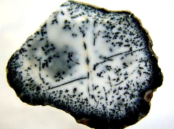 Dendritic Opal