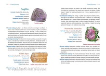 Load image into Gallery viewer, Crystal Basics by Nicholas Pearson

