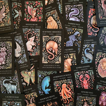 Load image into Gallery viewer, Wild Whiskers Oracle Deck - Spirit Animal Divination Cards
