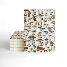 Load image into Gallery viewer, Vintage Tan Mushroom Exposed Coptic Binding Notebook Journal
