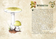 Load image into Gallery viewer, Mushroom Spirit Oracle by Nicola McIntosh

