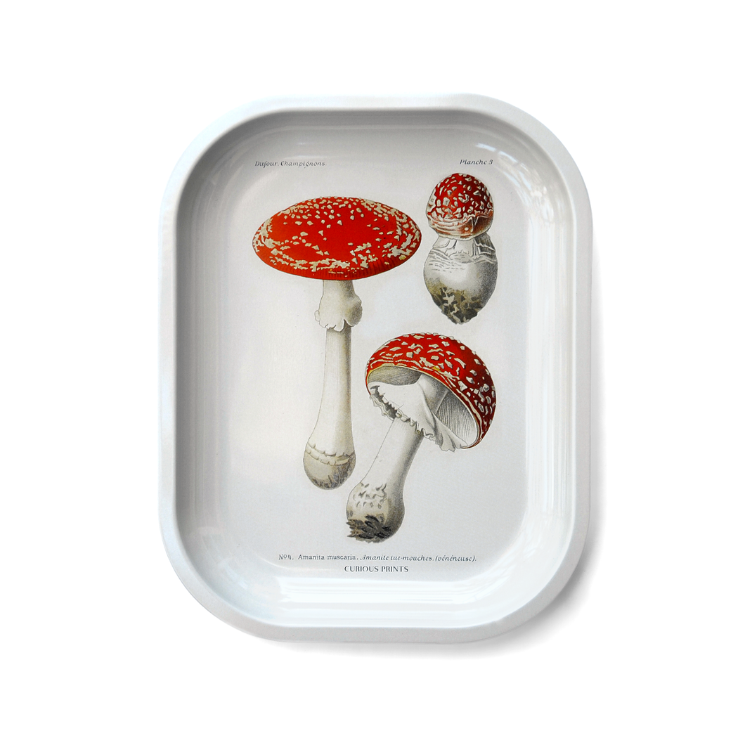 Metal Magic Mushroom Catchall Tray / Rolling Tray