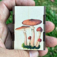 Load image into Gallery viewer, Wooden Matchbox • Mushroom Cluster
