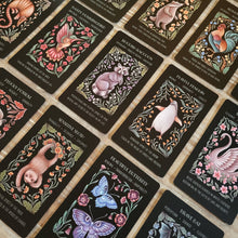 Load image into Gallery viewer, Wild Whiskers Oracle Deck - Spirit Animal Divination Cards
