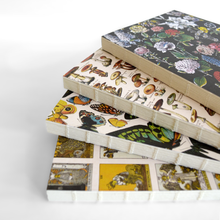 Load image into Gallery viewer, Vintage Tan Mushroom Exposed Coptic Binding Notebook Journal
