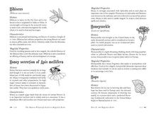 Load image into Gallery viewer, Modern Witchcraft Guide to Magickal Herbs by Judy Ann Nock
