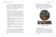 Load image into Gallery viewer, The Green Witch's Garden by Arin Murphy-Hiscock
