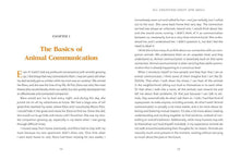 Load image into Gallery viewer, Animal Intuition: Communicating with Pets, Spirits &amp; Energy
