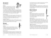 Load image into Gallery viewer, Modern Witchcraft Guide to Magickal Herbs by Judy Ann Nock
