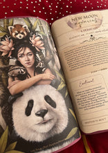 Load image into Gallery viewer, Moon Seeds Guided Journal 2027
