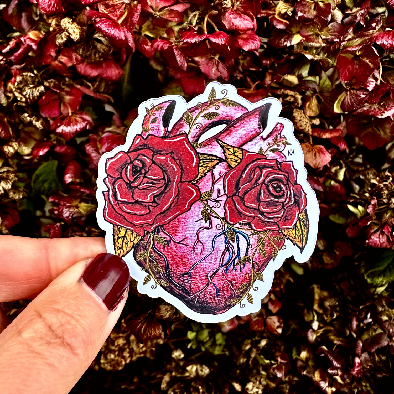 Anatomical Heart Sticker – The Cosmic Exchange