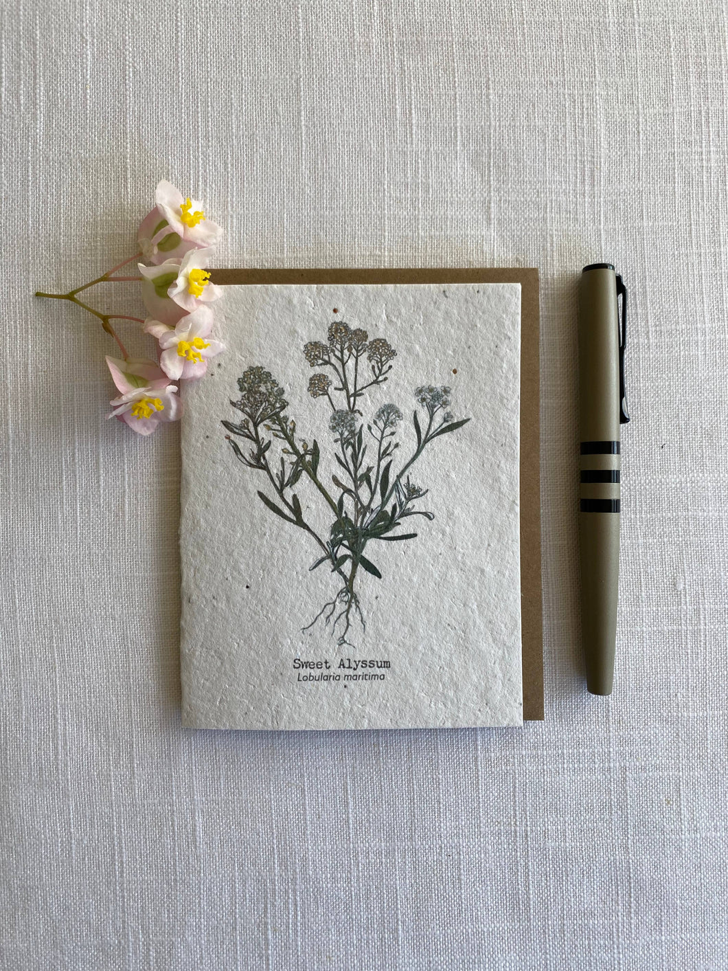 Plantable Wildflower Seed Card  Painted Sweet Alyssum