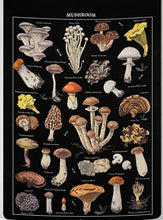 Load image into Gallery viewer, Vintage Style Mushroom Tapestry
