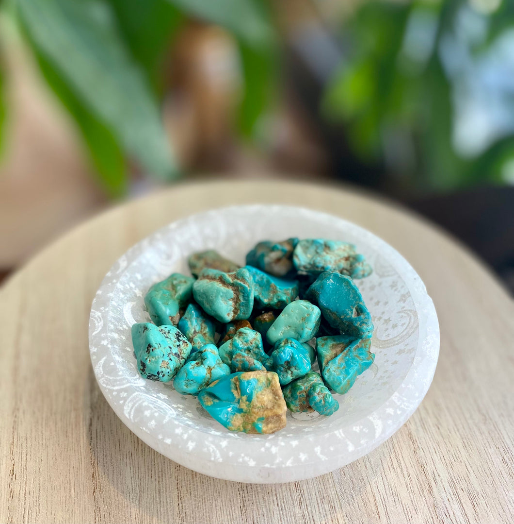 Turquoise Pieces