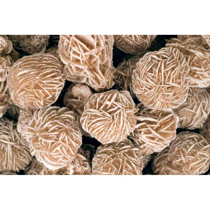 Desert Rose - Selenite gypsum