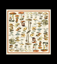 Load image into Gallery viewer, 100% Silk Scarf Mushroom Bandana 17x17
