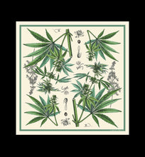 Load image into Gallery viewer, 100% Silk Scarf Botanical Marijuana Cannabis Bandana 17x17
