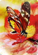 Load image into Gallery viewer, Butterfly Affirmations

