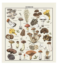 Load image into Gallery viewer, Vintage Style Mushroom Tapestry
