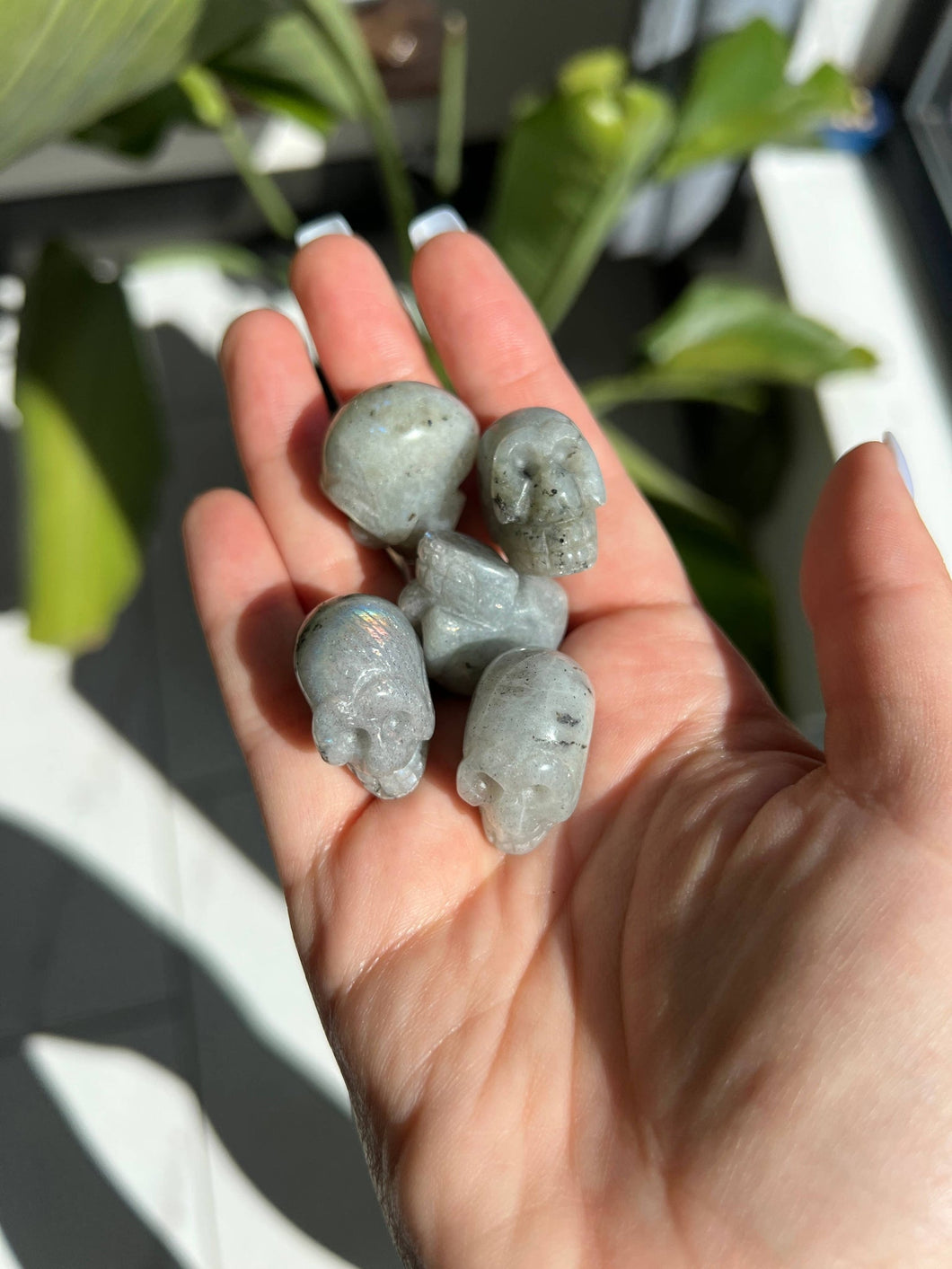 Crystal Skulls - Small